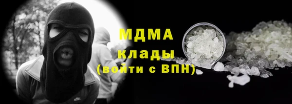 шишки Алексин