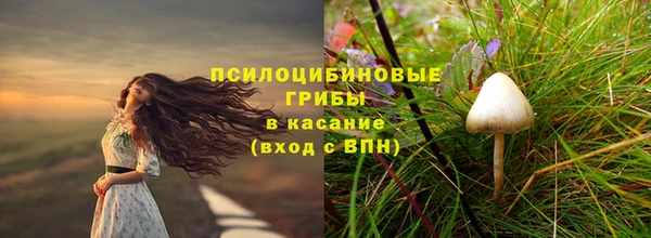 ALPHA PVP Алзамай